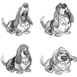 Meet your Posher, Julissa